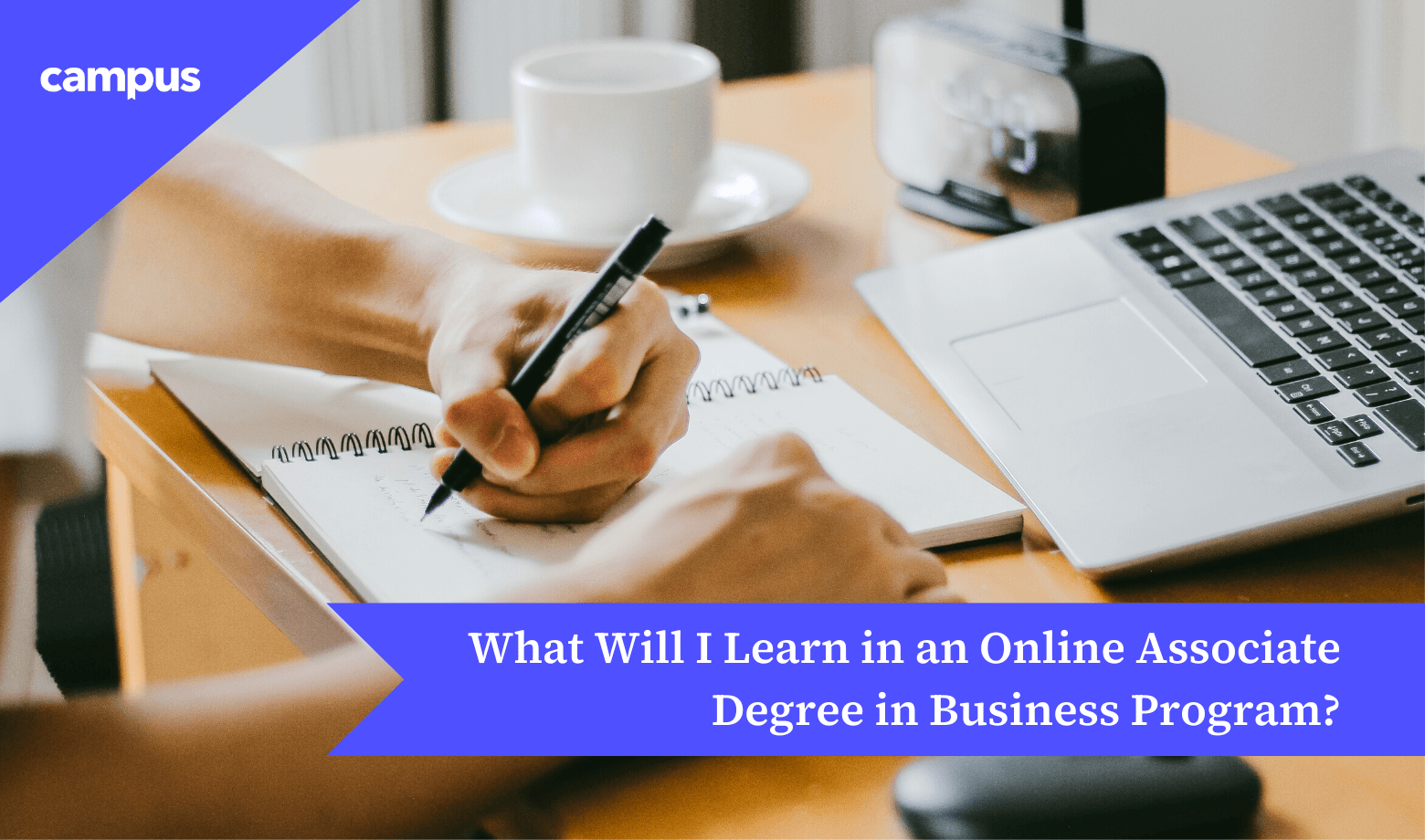 What Will I Learn in an Online Associate Business Degree?