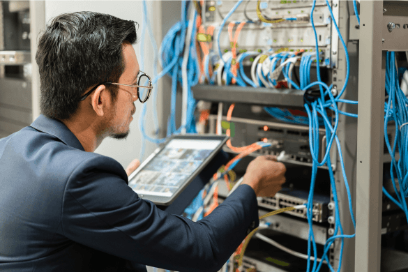 Programming vs. Networking: Which IT Career Path Is Right for You?