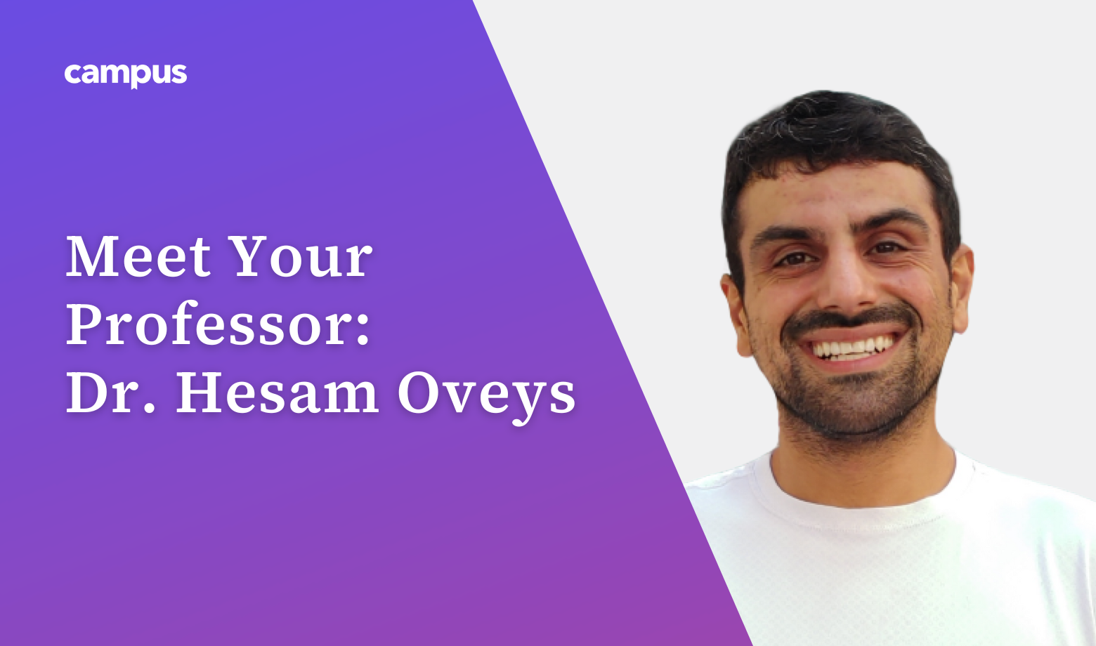 Meet Your Professor: Dr. Hesam Oveys