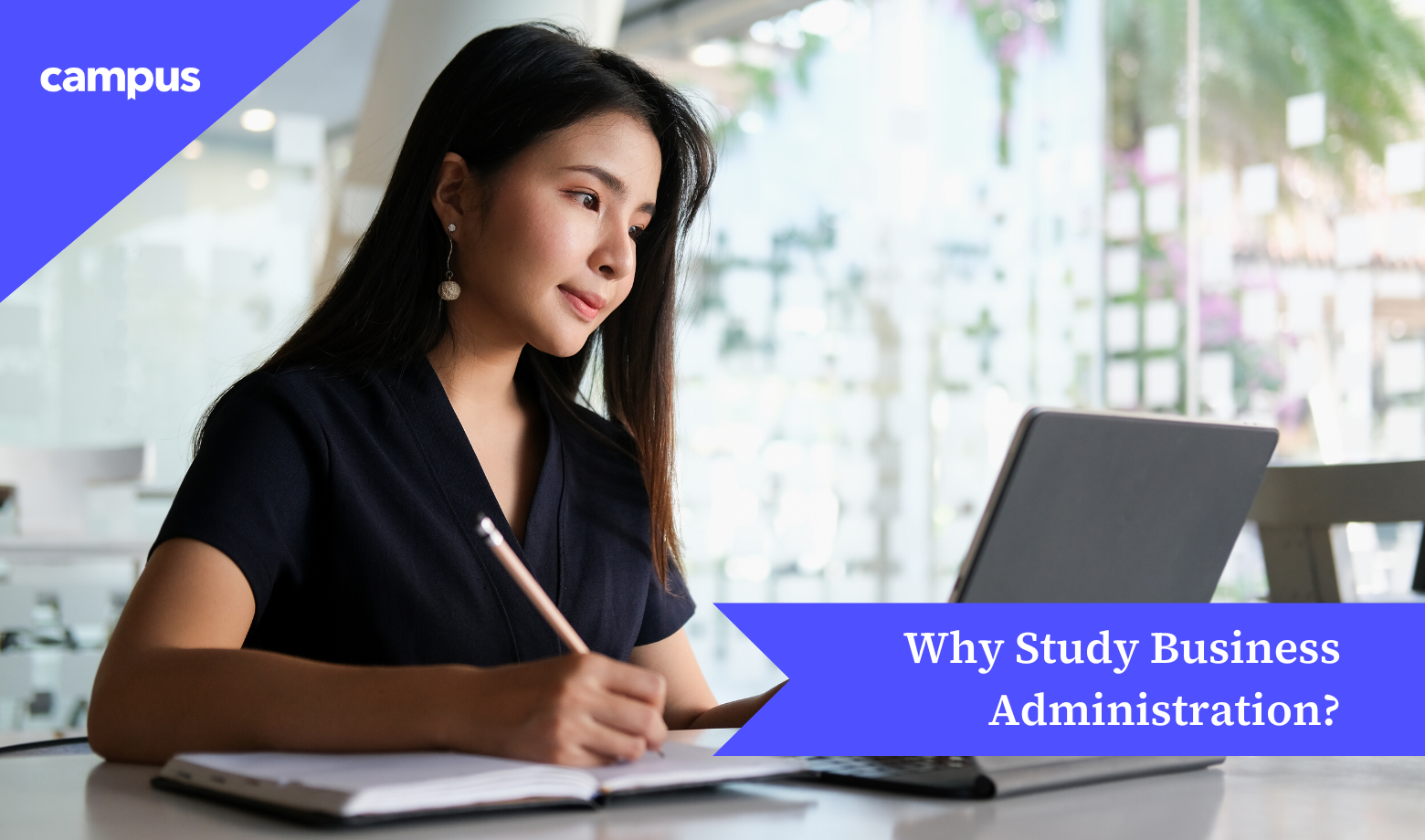 Why Study Business Administration?