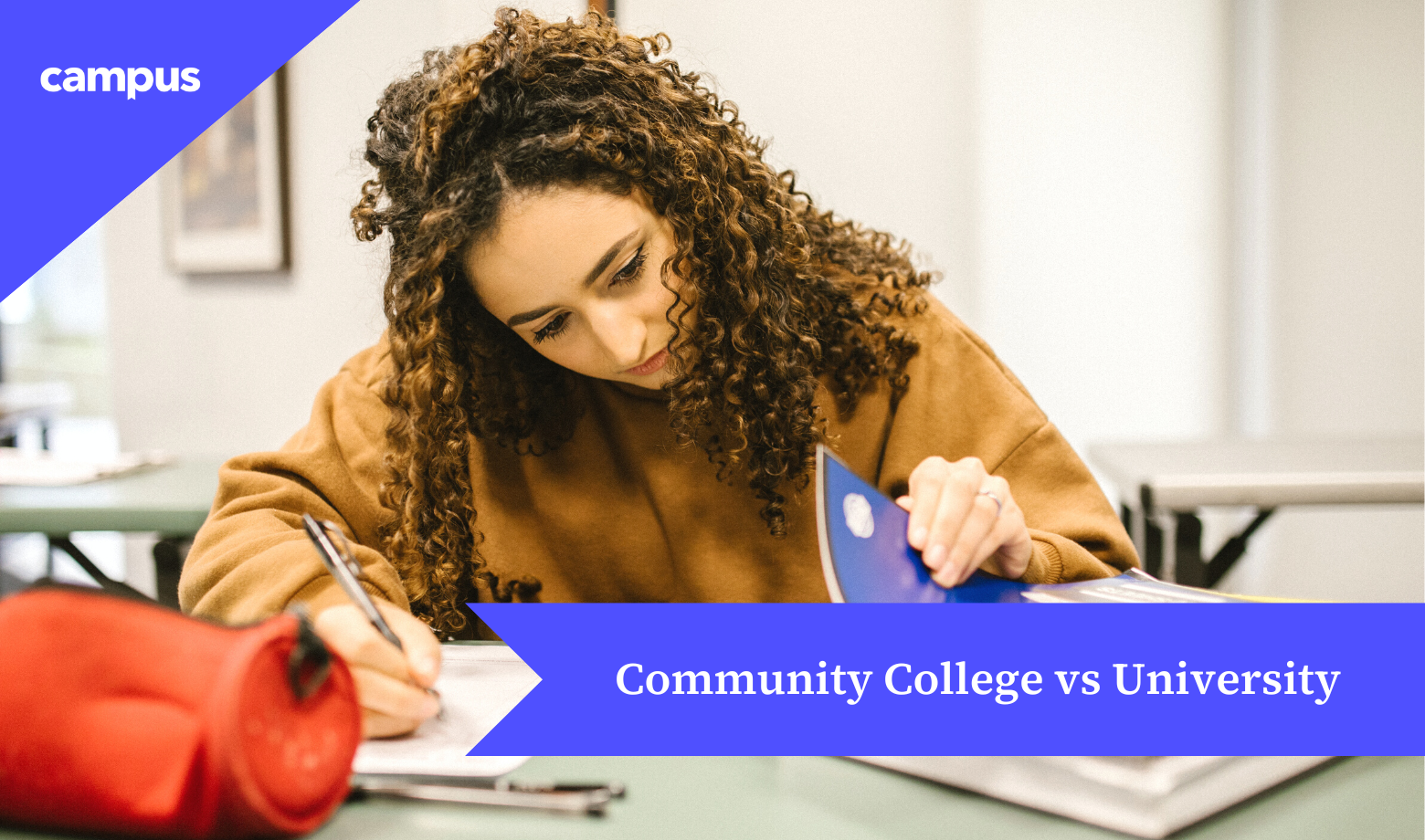 Community College vs University