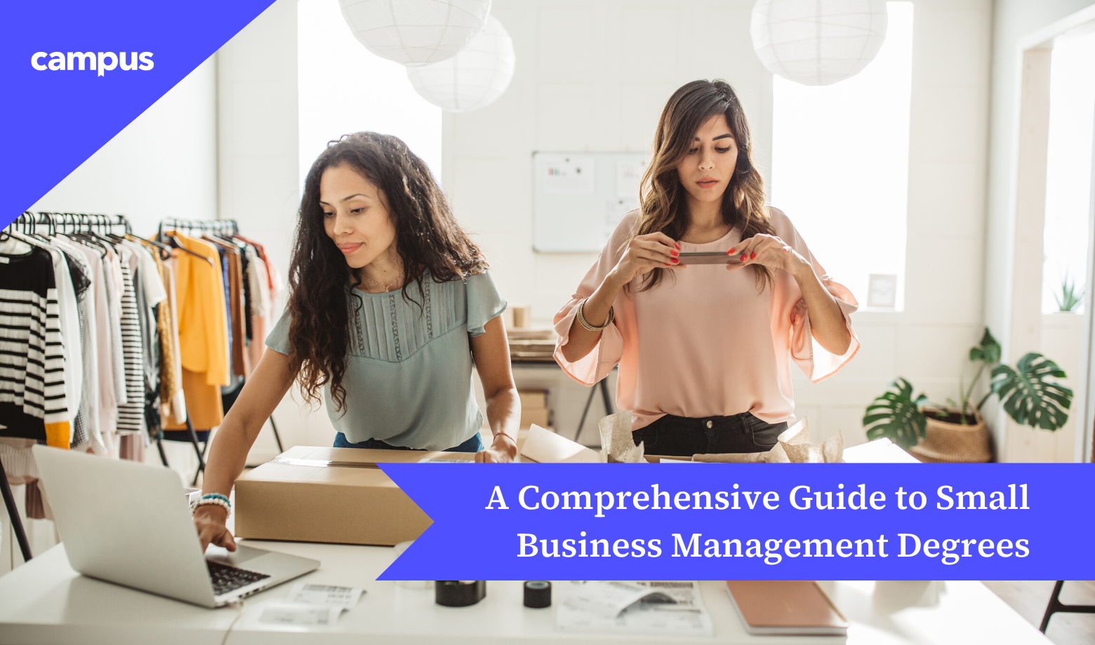 Small Business Management Degree Guide