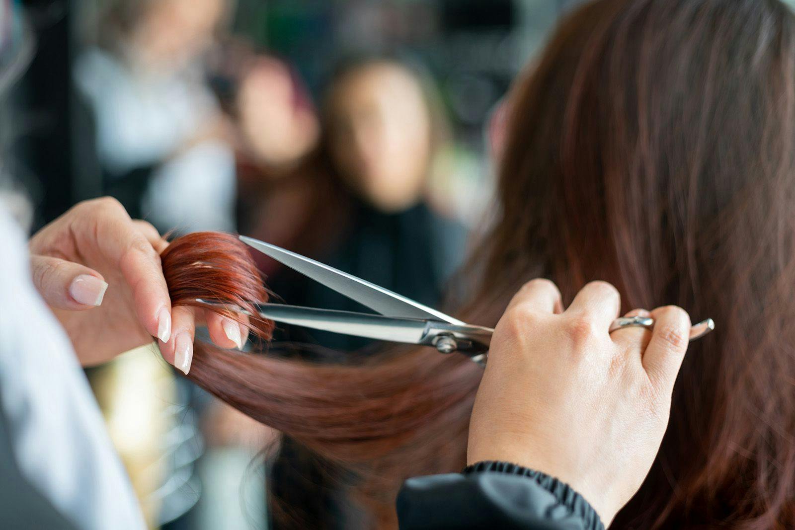 11 Questions to Ask When Touring a Beauty School